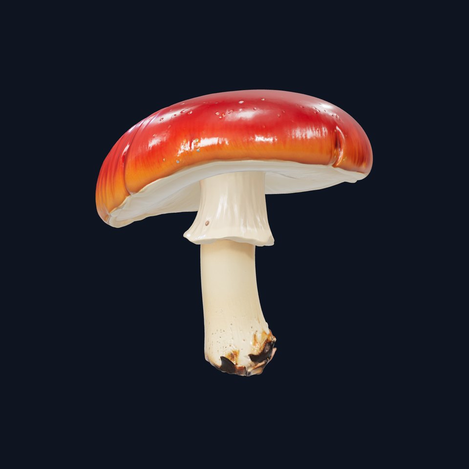 Autumn Red-Cap Mushroom Realistic model pack